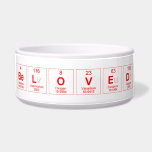 Beloved  Pet Bowls