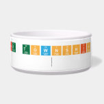 Delaware Township School
   Pet Bowls