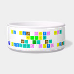 Do you trust me?
 Really?
 No. Si. No.
 I don’t trust you.   Pet Bowls
