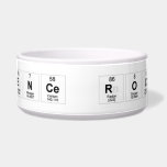 Science Rocks  Pet Bowls