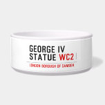 george iv statue  Pet Bowls
