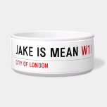 Jake is mean  Pet Bowls