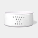 Welcome
 Back
 to
 school  Pet Bowls