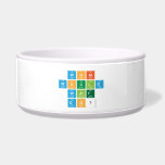 What
 would
 Walt
 Do?  Pet Bowls