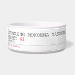 ITUMELENG MOKOENA MASULUKE  Street  Pet Bowls