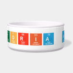 Preparatoria Anahuac  Pet Bowls
