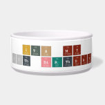 ITS MY 17th BIRTHDAY  Pet Bowls