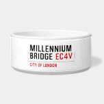 millennium bridge  Pet Bowls