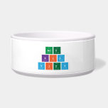 act
 kid
 vity  Pet Bowls