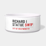 richard i statue  Pet Bowls