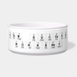 STEM Success
 Workshop  Pet Bowls