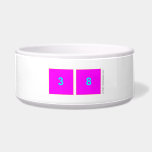 38  Pet Bowls