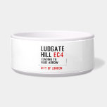 Ludgate  Hill  Pet Bowls