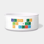 Cagon to
 lo que
 se menea  Pet Bowls
