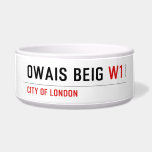 Owais beig  Pet Bowls