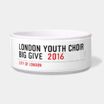 London Youth Choir Big Give   Pet Bowls