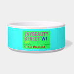 JayBeauty Street  Pet Bowls