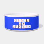 Let's
 Go
 Giants!  Pet Bowls