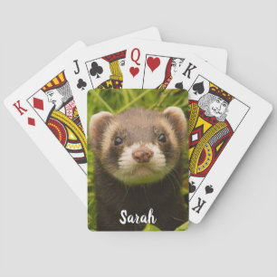 Pet Brown Bandit Ferret in the Grass Poker Cards