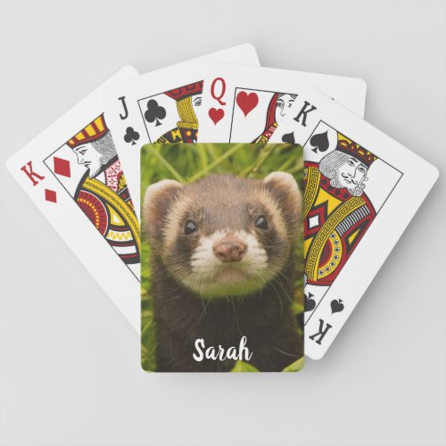 Pet Brown Bandit Ferret in the Grass Poker Cards