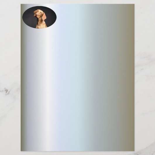 Pet Brown Beagle Dog (Front)