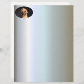 Pet Brown Beagle Dog (Front/Back)