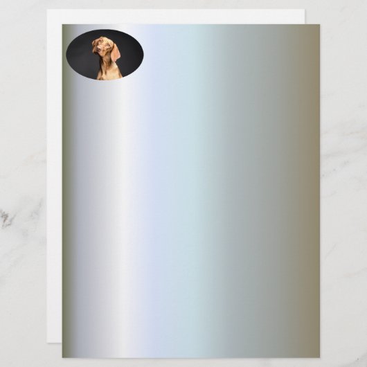 Pet Brown Beagle Dog (Front/Back)