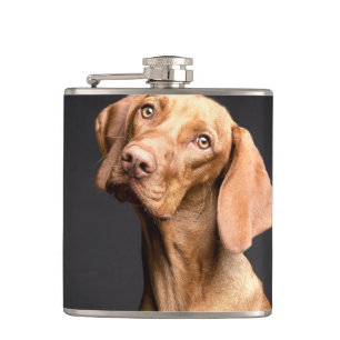 Pet Brown Beagle Dog Flask