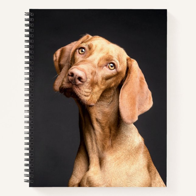 Pet Brown Beagle Dog Notebook (Front)