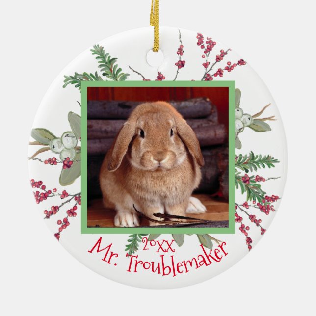 Pet Bunny Rabbit Christmas Photo Santa Cute Custom Ceramic Ornament (Back)