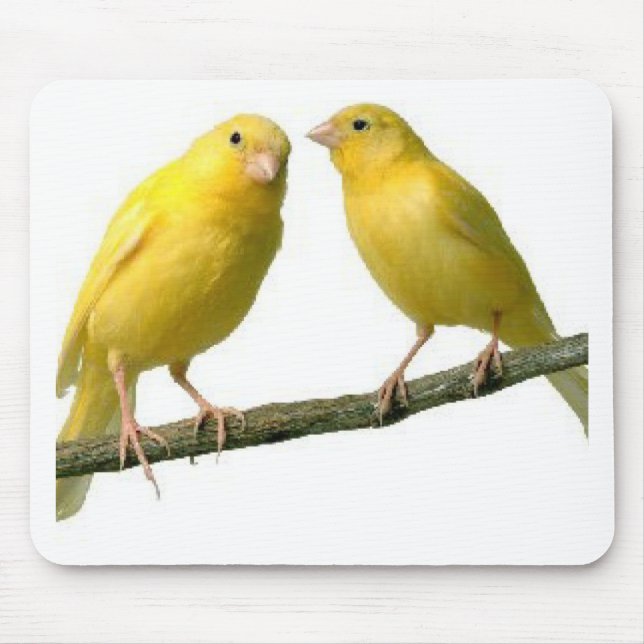 Pet Canary Bird Merchandise Mouse Pad (Front)