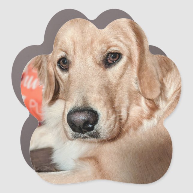 Pet Car Magnet (Front)