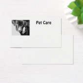 Pet Care (Desk)