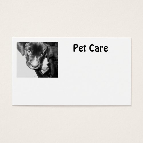 Pet Care Business Card Template