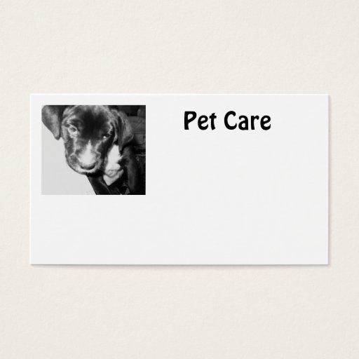 Customizable Pet Care Business Card Template