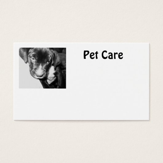 Pet Care (Front)