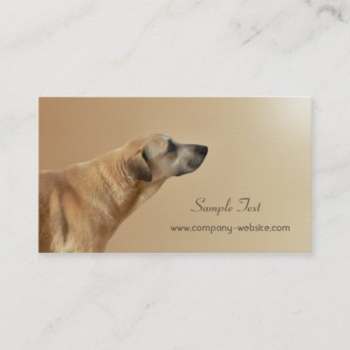 Pet Care and Adoption Business Card