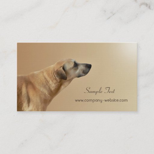 Customizable Pet Care and Adoption Business Card