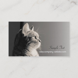Pet Care and Adoption Business Card