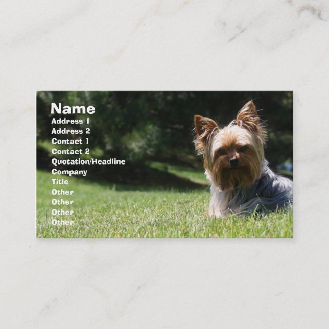Pet care business card (Front)