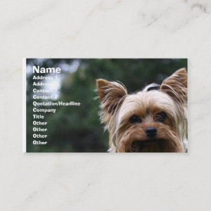 Pet care business card