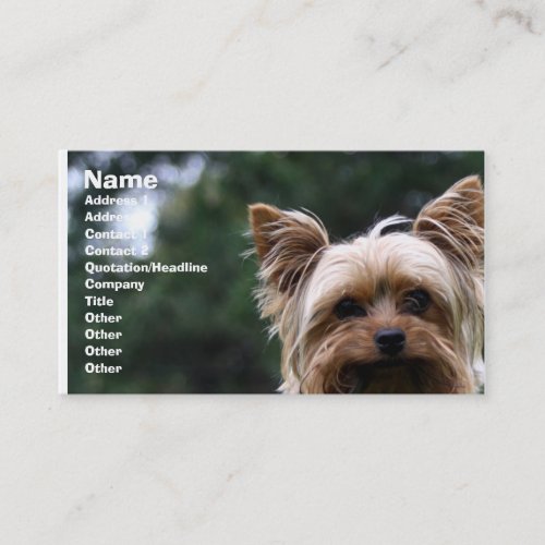 Pet care business card