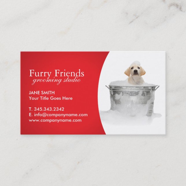 Pet Care Business Cards (Front)