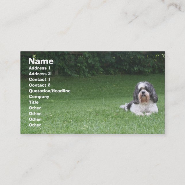 Pet care/pet sitting/yard care business card (Front)