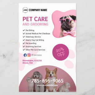 Pet Care Service Custom Flyer