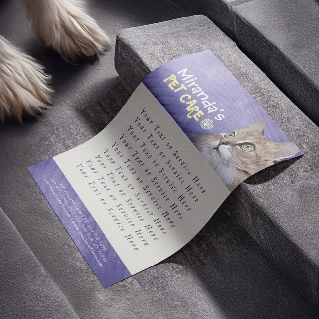 Pet Care Sitting Bathing Grooming Beauty Salon Cat Flyer (Creator Uploaded)