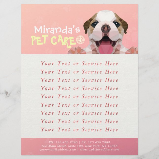 Pet Care Sitting Bathing Grooming Salon Food Shop Flyer (Front)