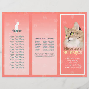 Pet Care Sitting Grooming Salon Tri-Fold Brochures