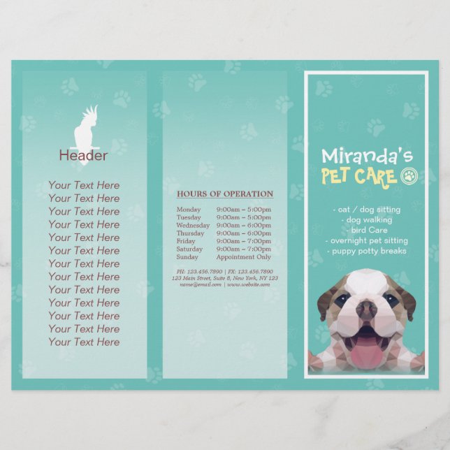 Pet Care Sitting Grooming Salon Tri-Fold Brochures (Front)