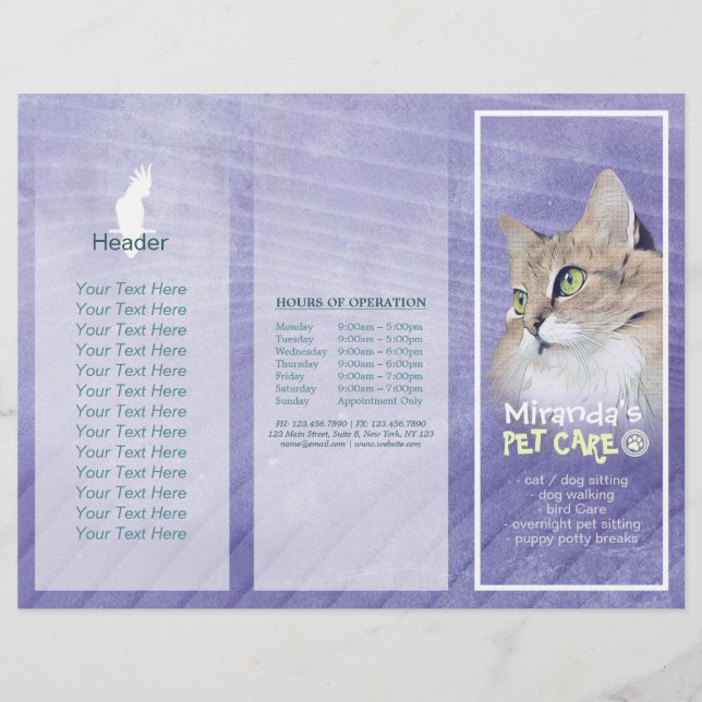 Pet Care Sitting Grooming Salon Tri-Fold Brochures (Front)